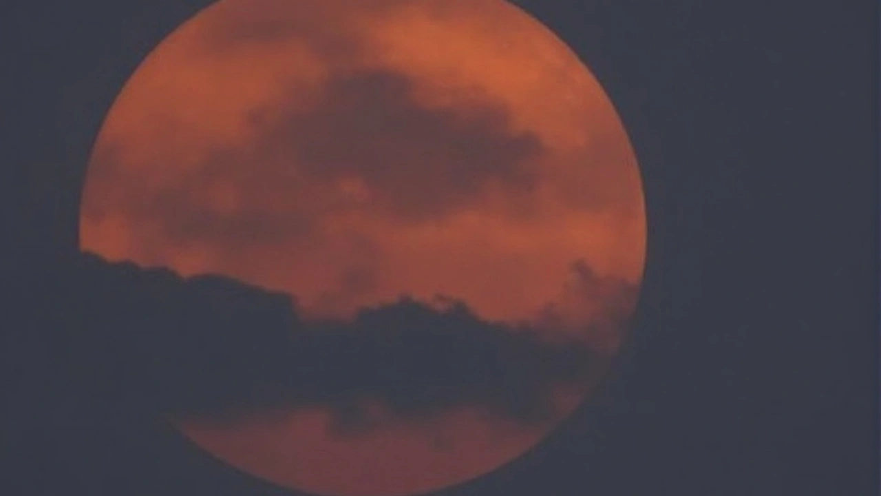 Como observar e o que esperar da Lua do Veado no Brasil